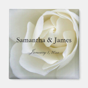 Crisp White Rose Magneet