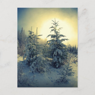 Crisp Winter Morning Briefkaart