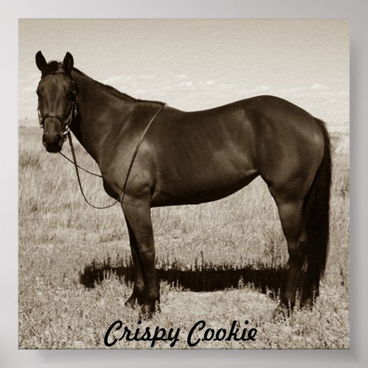 Crispy Cookie Poster (Voorkant)
