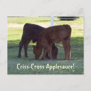 Criss-Cross Applesauce! Briefkaart kalveren