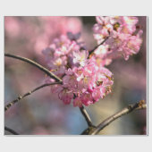 Crisscrossed Sakura Tree Twigs Cadeaupapier (Vlak)