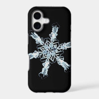 Cristal stellaire de neige