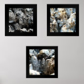 Cristaux de glace 12x12 Poster (Recto)