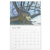 Critères Calendrier 2023 (Jan 2027)