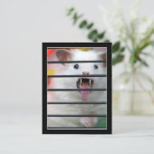 Critter is een gemiddelde hamster briefkaart (Staand voorkant)