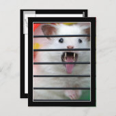 Critter is een gemiddelde hamster briefkaart (Voorkant / Achterkant)