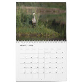 Critters die we zien  kalender (Jan 2026)