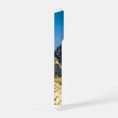 crocodile (Côté droit)