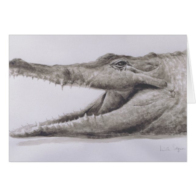 Crocodile 2005 (Devant horizontal)