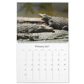 Crocodile Calendar Kalender (Feb 2027)