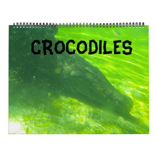Crocodile Calendar Kalender (Hoes)
