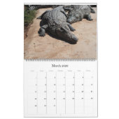 Crocodile Calendar Kalender (Mar 2026)