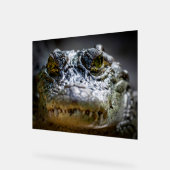 crocodile dans l'eau (Angle)