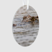 Crocodile du Nil (devant)