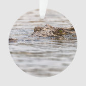 Crocodile du Nil (devant)