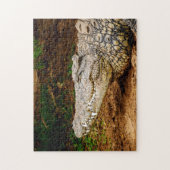 Crocodile du Nil, Puzzle de Jigsaw (Vertical)