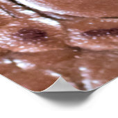 Crocodile leather textured backgroundabstract, ani poster (Hoek)