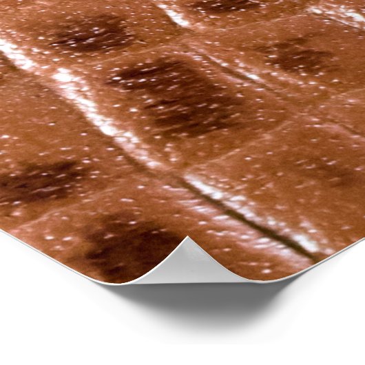 Crocodile leather textured backgroundabstract, ani poster (Hoek)