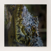 Crocodile Legpuzzel (Horizontaal)