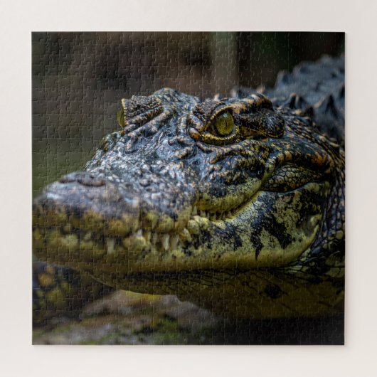Crocodile Legpuzzel (Verticaal)