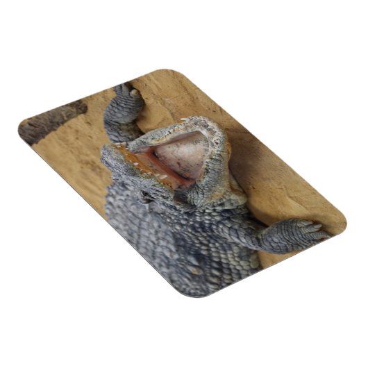 Crocodile met Jaws Wide Open Close-up Magneet (Rechterzijde)