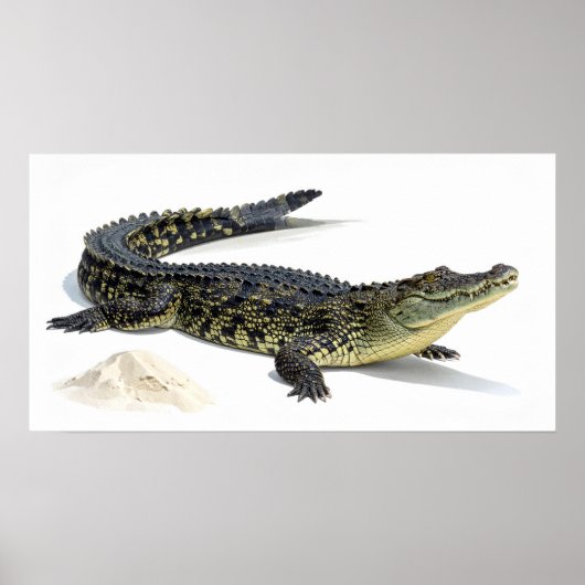 Crocodile Poster (Voorkant)