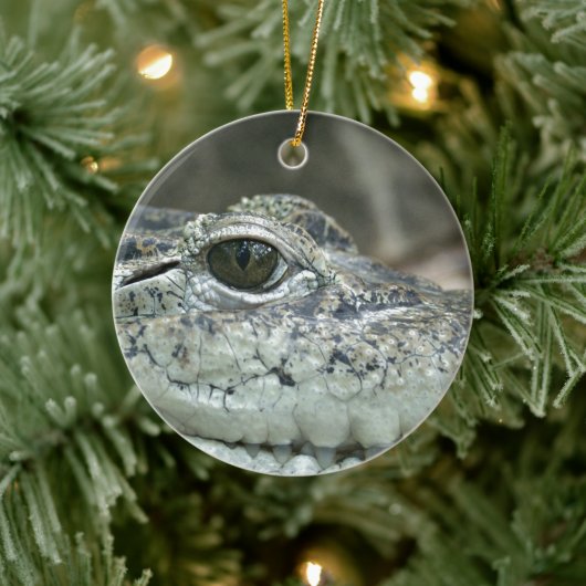Crocodile Smile Ornament (Boom)