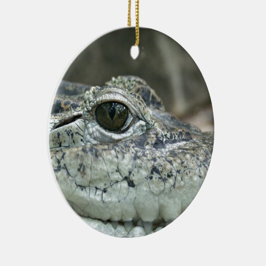 Crocodile Smile Ornament (Rechts)
