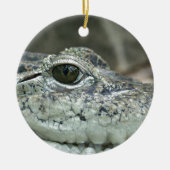 Crocodile Smile Ornament (Voorkant)