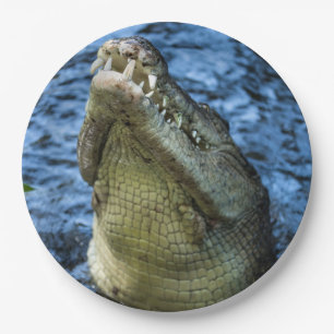 Crocodile Teeth Water Papieren Bordje