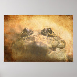 Crocodylus Moreletii Sluiten Poster