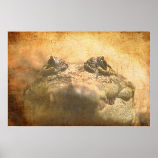 Crocodylus Moreletii Sluiten Poster