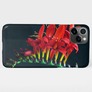 Crocosomia Lucifer Montbretia Floral iPhone 11Pro Max Hoesje