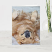 Crocs de Merci (Devant)