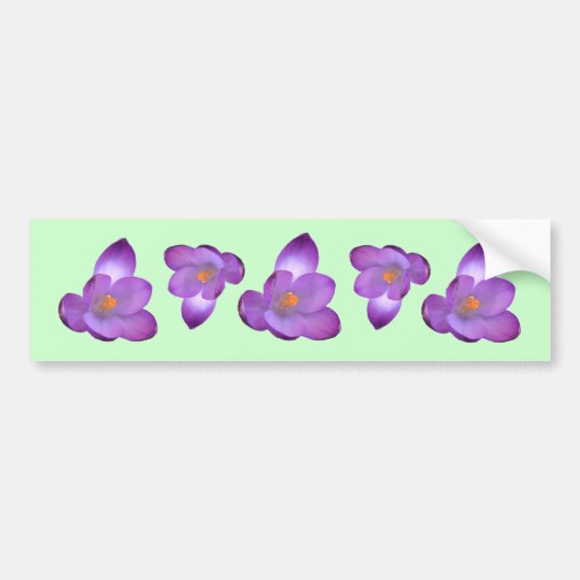 Crocus 1, Crocus 1, Crocus 1, Crocus 1, Crocus 1 Bumpersticker (Voorkant)