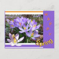 Crocus avec une carte postale printemps joyeuse