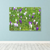 Crocus blancs et violets afficher impression de to (Insitu (Plancher de Bois))