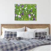 Crocus blancs et violets afficher impression de to (Insitu(Chambre))