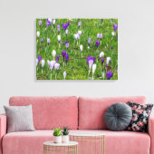 Crocus blancs et violets afficher impression de to (Insitu(Salon))