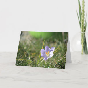 Crocus Blank Bedankkaart