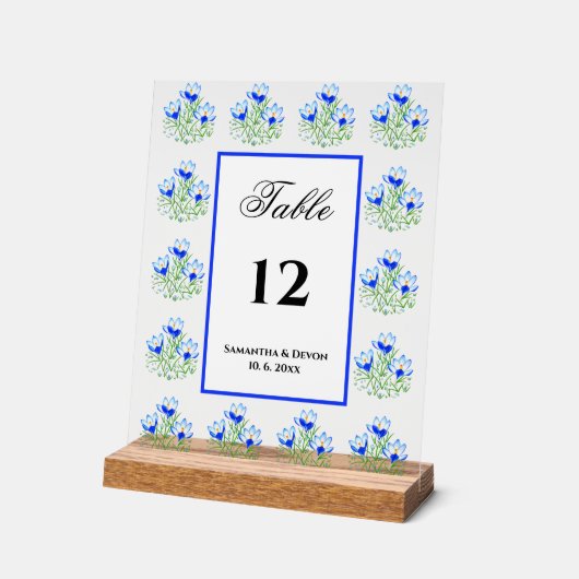 Crocus bleus (Angle)