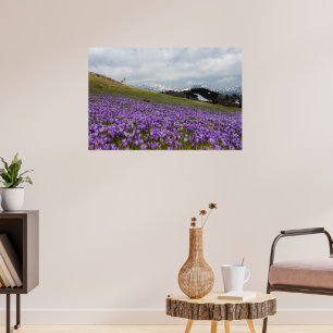 Crocus bloemen op Velika Planina, Slovenië Poster