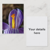 Crocus Blossom - Carte de visite (Devant / Derrière)