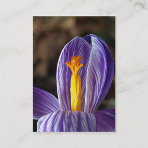 Crocus Blossom - Carte de visite