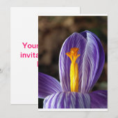 Crocus Blossom - Invitation (Devant / Derrière)