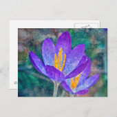 Crocus Briefkaart (Voorkant / Achterkant)