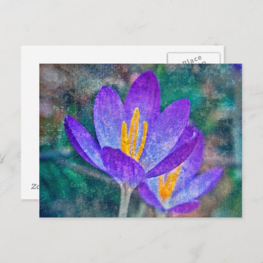 Crocus Briefkaart (Voorkant / Achterkant)