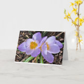 Crocus, carte (Fleur jaune)