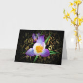 Crocus, carte (Fleur jaune)