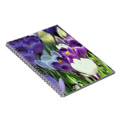 Crocus de printemps - carnet (Côté Droit)